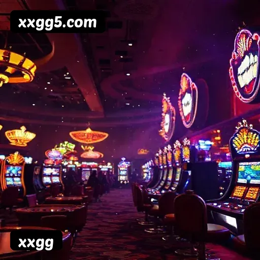 Termos e Condições Transparentes xxgg